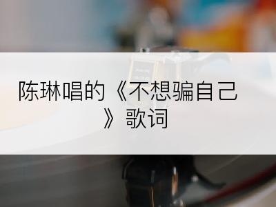 陈琳唱的《不想骗自己》歌词