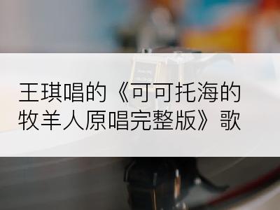 王琪唱的《可可托海的牧羊人原唱完整版》歌词