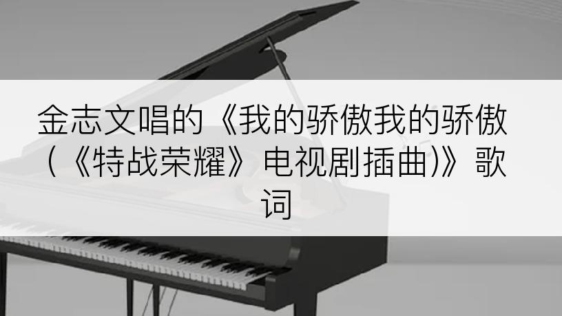 金志文唱的《我的骄傲我的骄傲 (《特战荣耀》电视剧插曲)》歌词