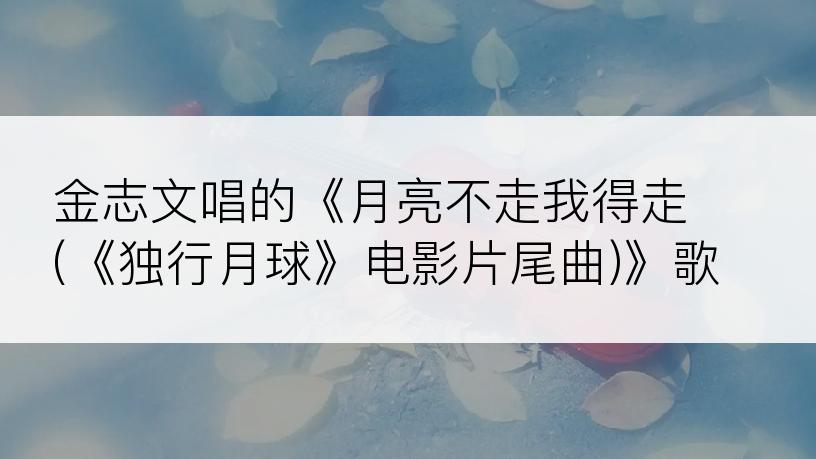 金志文唱的《月亮不走我得走 (《独行月球》电影片尾曲)》歌词