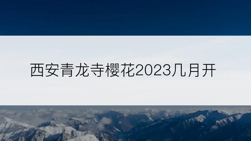 西安青龙寺樱花2023几月开