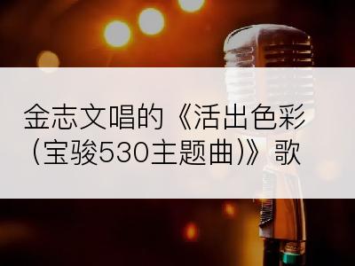 金志文唱的《活出色彩 (宝骏530主题曲)》歌词