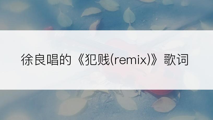 徐良唱的《犯贱(remix)》歌词