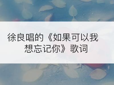 徐良唱的《如果可以我想忘记你》歌词