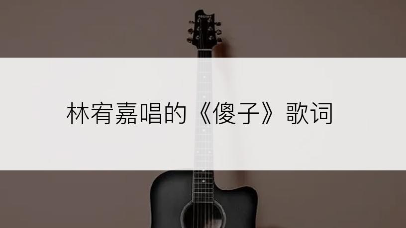 林宥嘉唱的《傻子》歌词