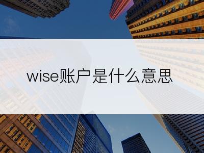 wise账户是什么意思