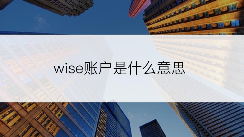 wise账户是什么意思