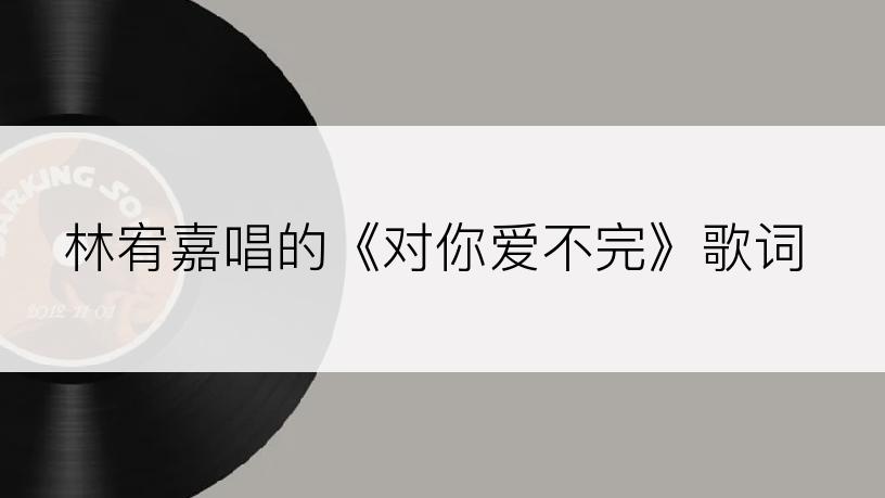 林宥嘉唱的《对你爱不完》歌词