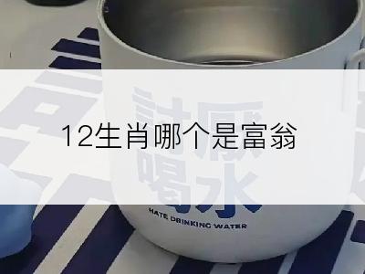 12生肖哪个是富翁