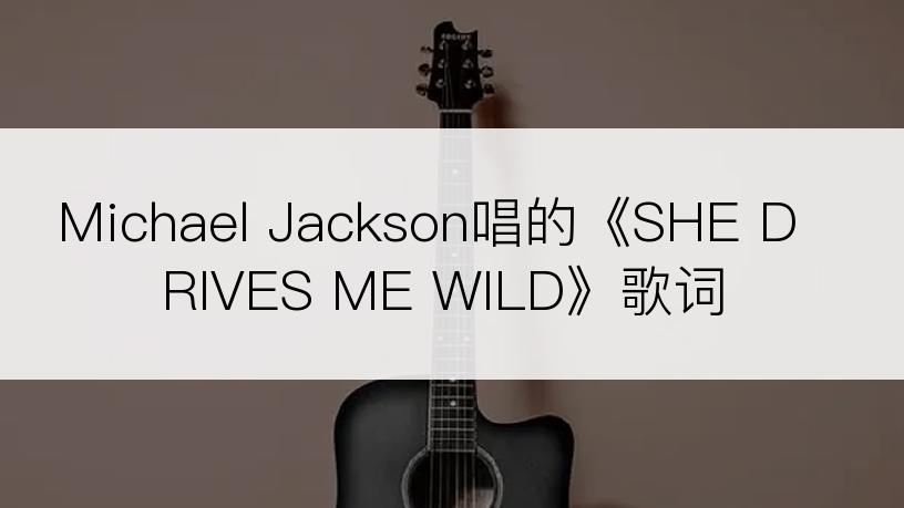 Michael Jackson唱的《SHE DRIVES ME WILD》歌词