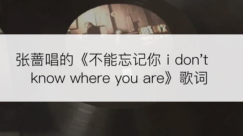 张蔷唱的《不能忘记你 i don't know where you are》歌词