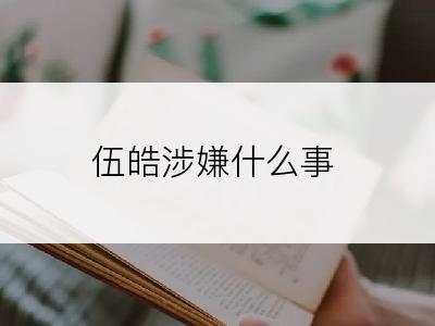 伍皓涉嫌什么事