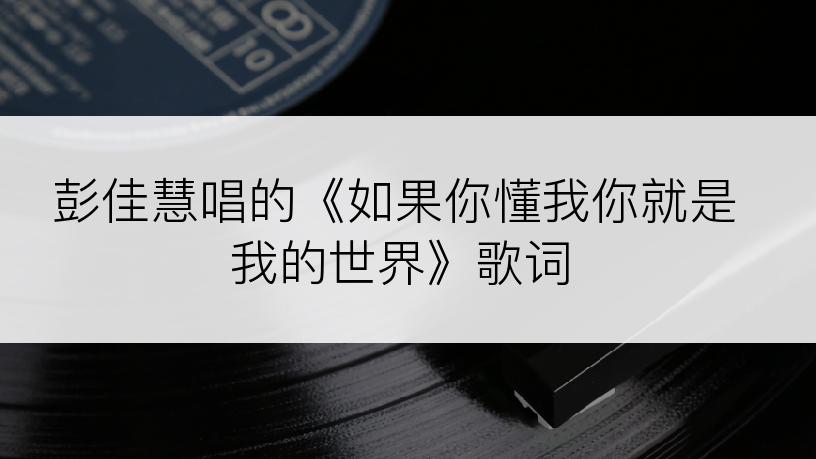 彭佳慧唱的《如果你懂我你就是我的世界》歌词