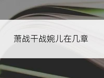 萧战干战婉儿在几章