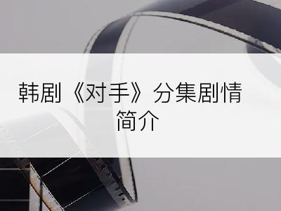 韩剧《对手》分集剧情简介