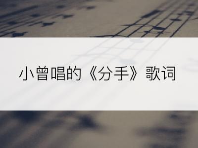 小曾唱的《分手》歌词