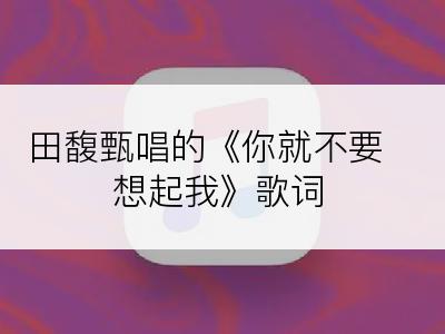 田馥甄唱的《你就不要想起我》歌词