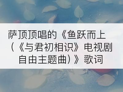 萨顶顶唱的《鱼跃而上 (《与君初相识》电视剧自由主题曲) 》歌词