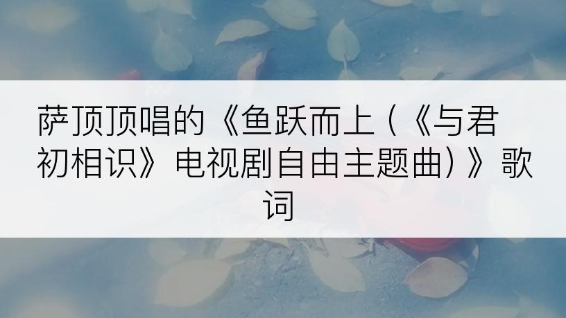 萨顶顶唱的《鱼跃而上 (《与君初相识》电视剧自由主题曲) 》歌词