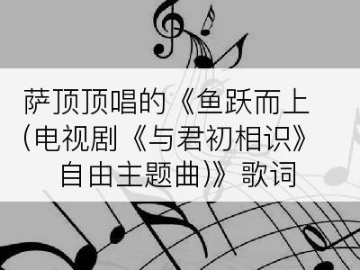 萨顶顶唱的《鱼跃而上(电视剧《与君初相识》自由主题曲)》歌词