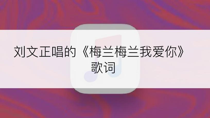 刘文正唱的《梅兰梅兰我爱你》歌词