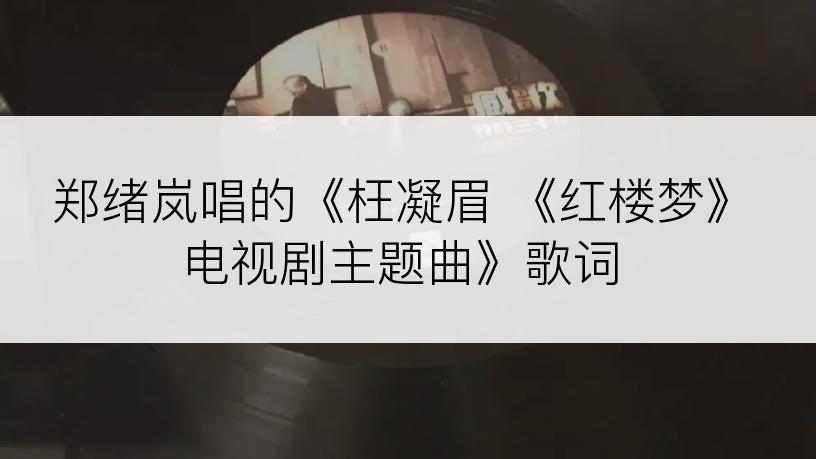 郑绪岚唱的《枉凝眉 《红楼梦》电视剧主题曲》歌词