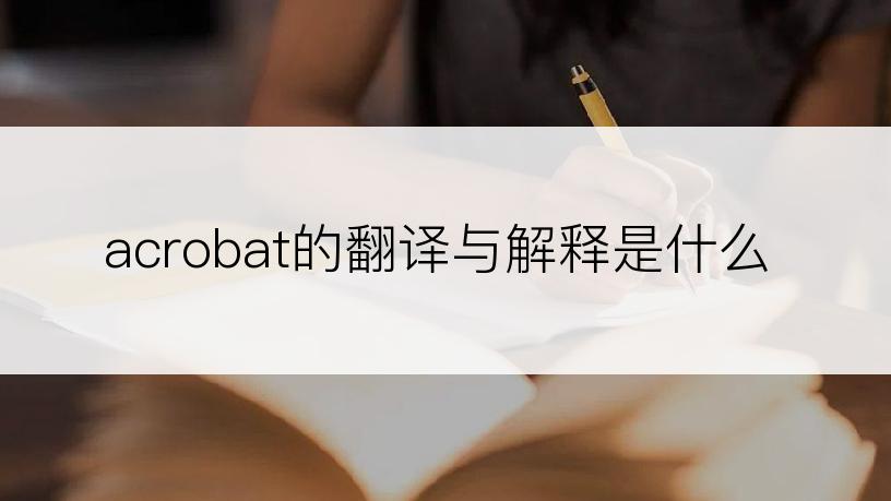 acrobat的翻译与解释是什么