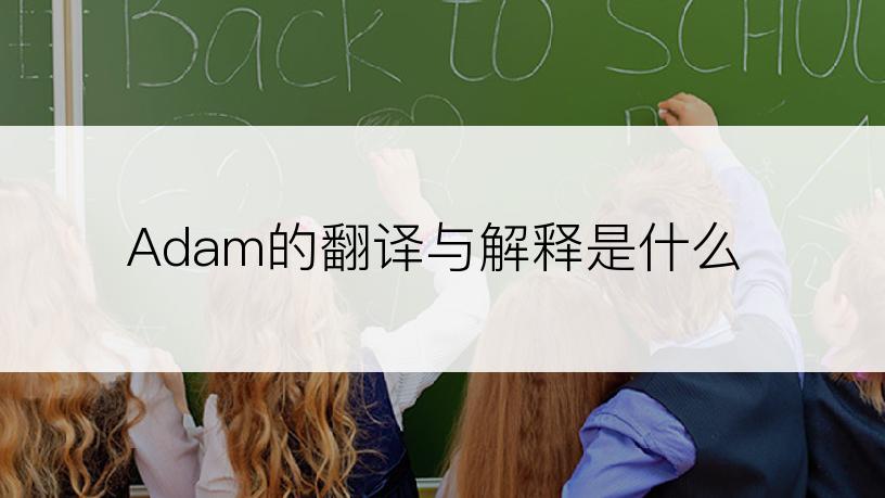 Adam的翻译与解释是什么