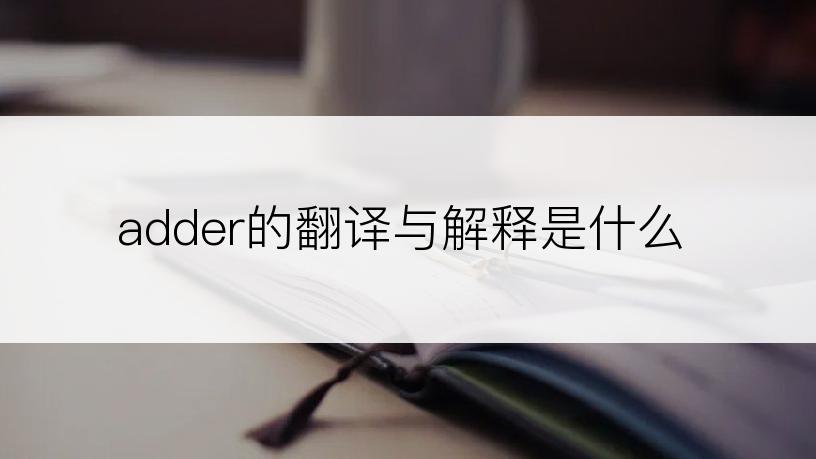 adder的翻译与解释是什么