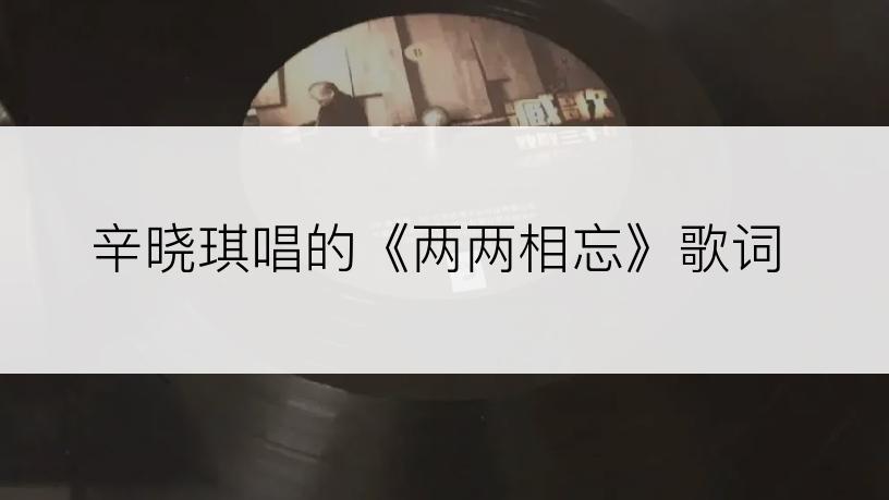 辛晓琪唱的《两两相忘》歌词