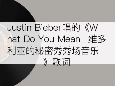 Justin Bieber唱的《What Do You Mean_ 维多利亚的秘密秀秀场音乐》歌词