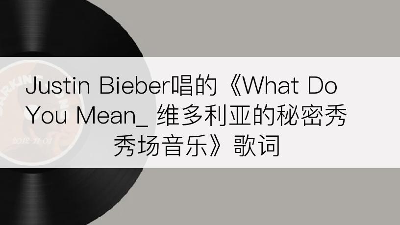 Justin Bieber唱的《What Do You Mean_ 维多利亚的秘密秀秀场音乐》歌词