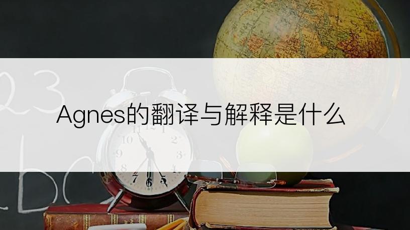 Agnes的翻译与解释是什么