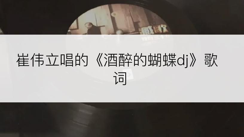 崔伟立唱的《酒醉的蝴蝶dj》歌词