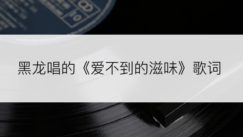 黑龙唱的《爱不到的滋味》歌词