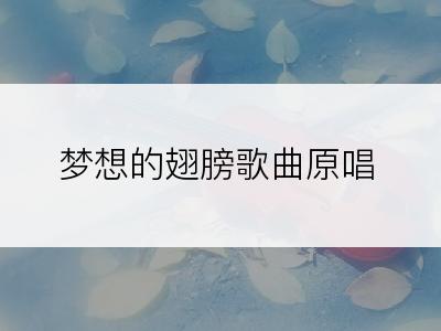 梦想的翅膀歌曲原唱