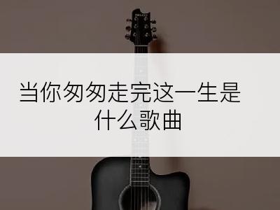 当你匆匆走完这一生是什么歌曲