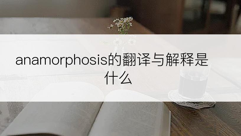 anamorphosis的翻译与解释是什么