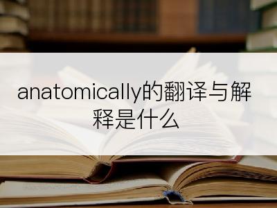 anatomically的翻译与解释是什么