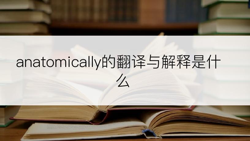 anatomically的翻译与解释是什么