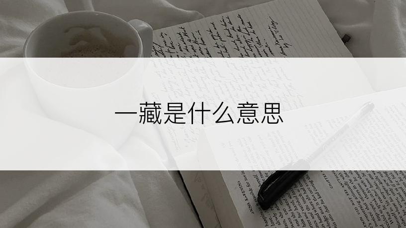 一藏是什么意思