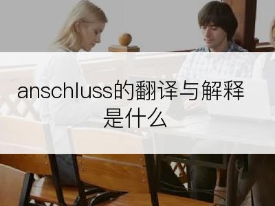 anschluss的翻译与解释是什么