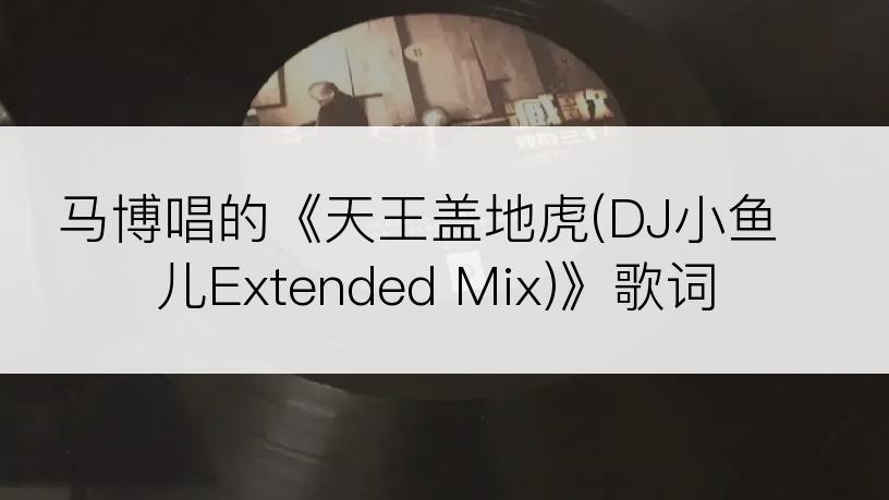 马博唱的《天王盖地虎(DJ小鱼儿Extended Mix)》歌词