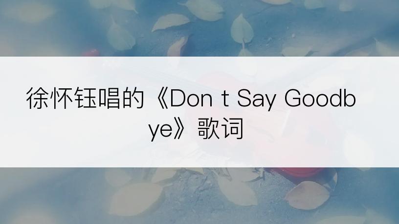 徐怀钰唱的《Don t Say Goodbye》歌词