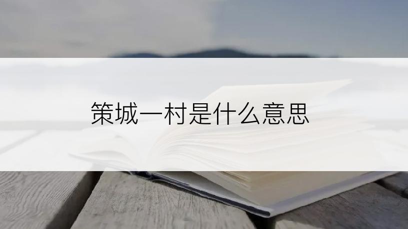 策城一村是什么意思