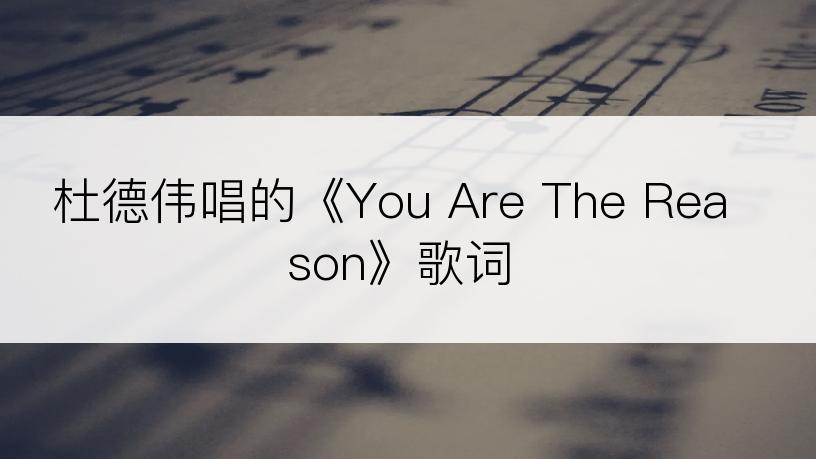 杜德伟唱的《You Are The Reason》歌词