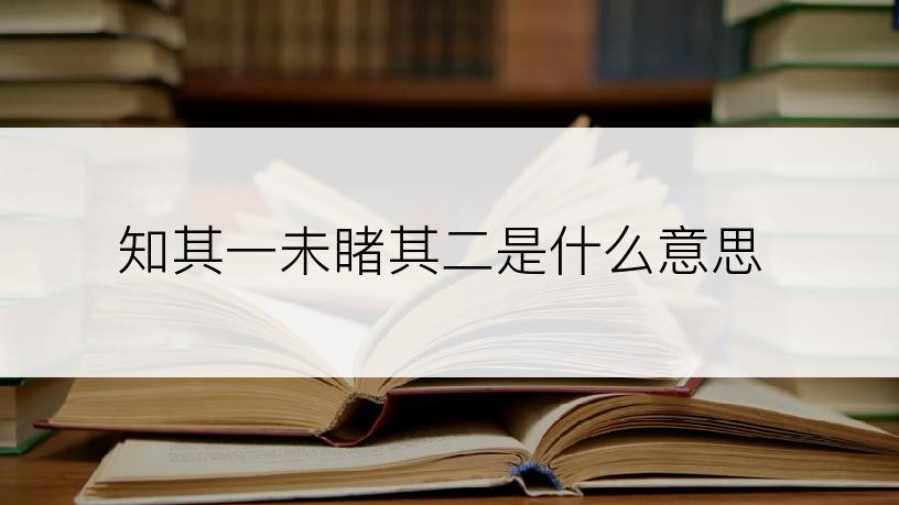 知其一未睹其二是什么意思