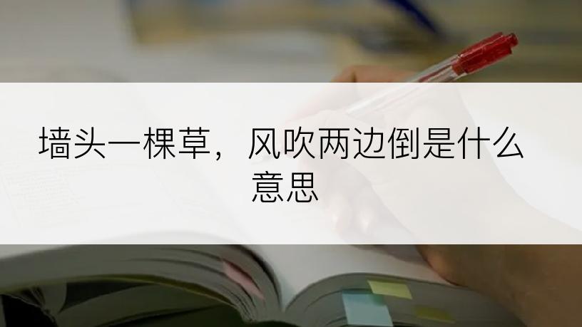 墙头一棵草，风吹两边倒是什么意思