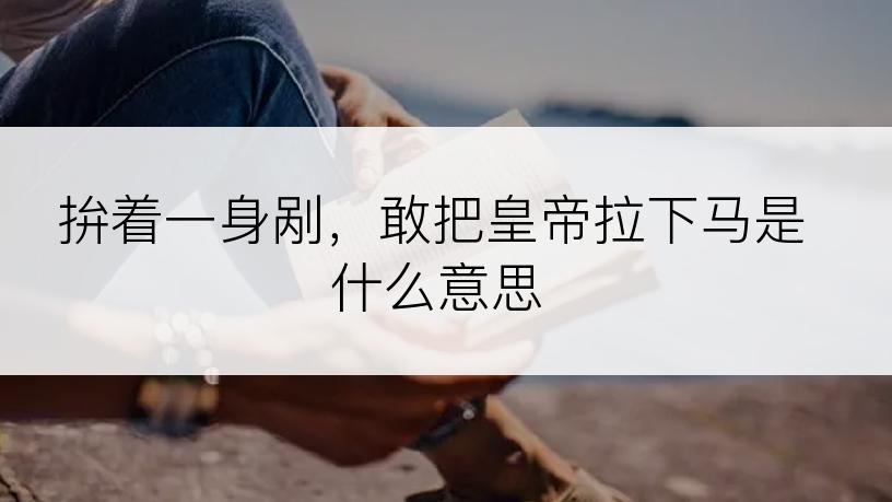 拚着一身剐，敢把皇帝拉下马是什么意思