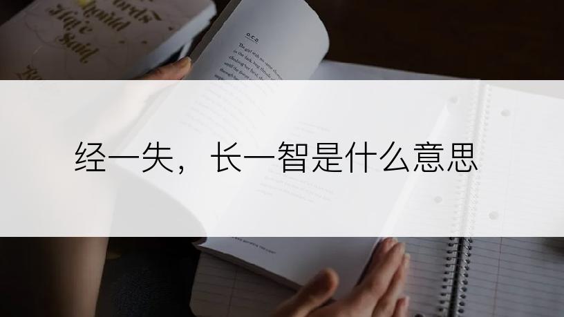 经一失，长一智是什么意思